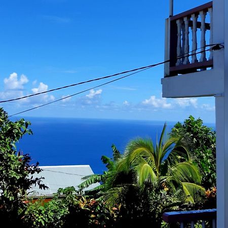 "Sunrise Inn" Nature Island Dominica Penville Exteriör bild