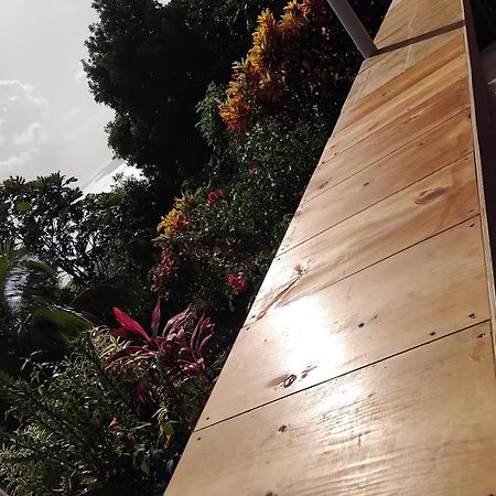 "Sunrise Inn" Nature Island Dominica Penville Exteriör bild