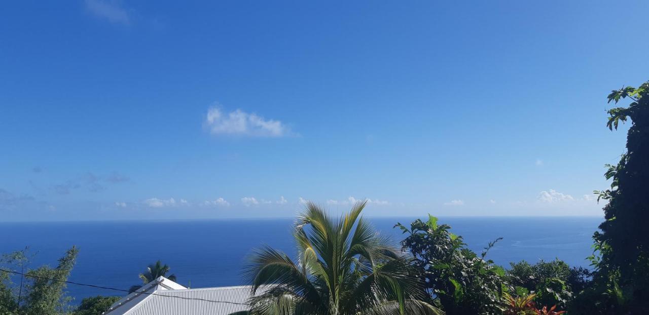"Sunrise Inn" Nature Island Dominica Penville Exteriör bild