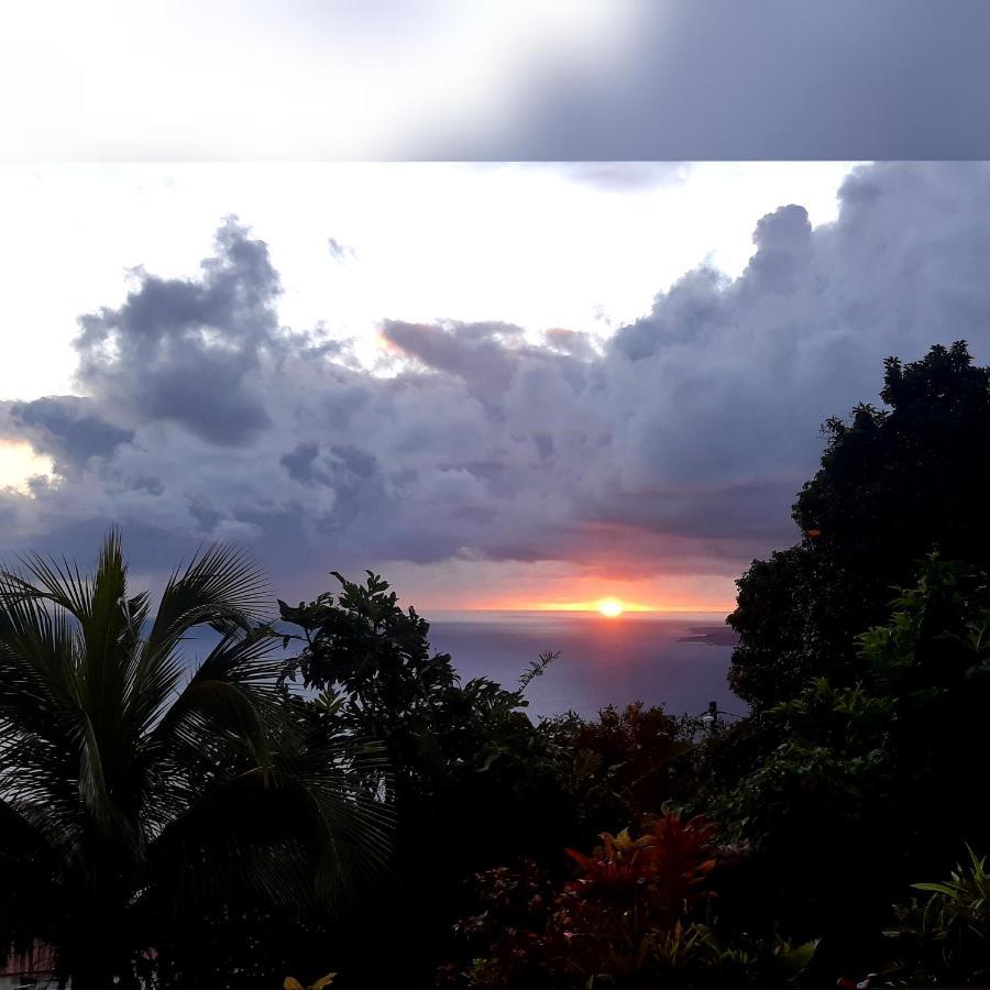"Sunrise Inn" Nature Island Dominica Penville Exteriör bild