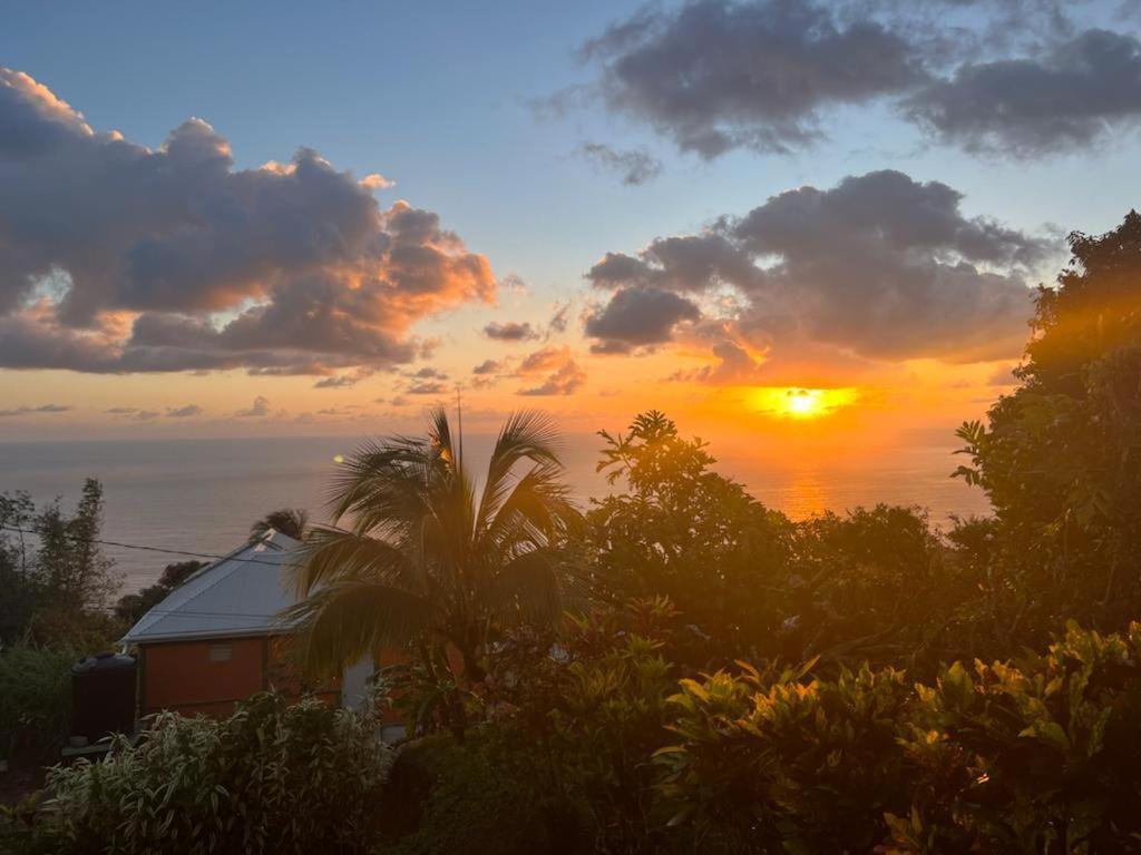 "Sunrise Inn" Nature Island Dominica Penville Exteriör bild