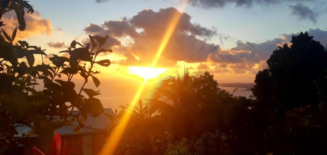 "Sunrise Inn" Nature Island Dominica Penville Exteriör bild