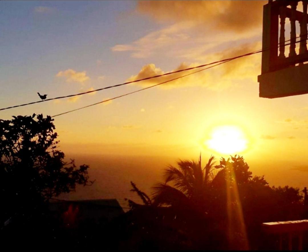 "Sunrise Inn" Nature Island Dominica Penville Exteriör bild
