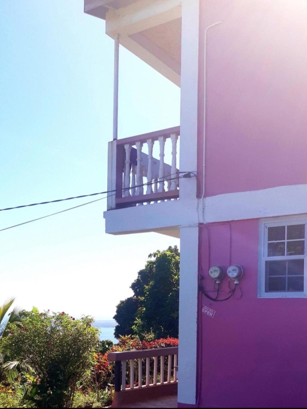 "Sunrise Inn" Nature Island Dominica Penville Exteriör bild