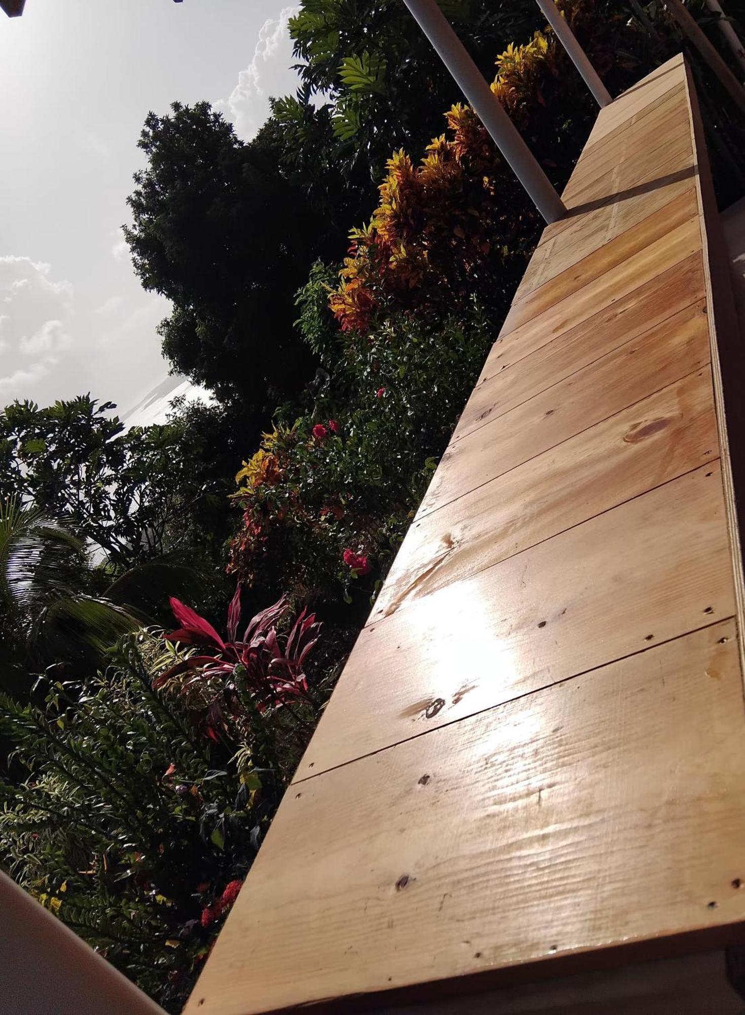 "Sunrise Inn" Nature Island Dominica Penville Exteriör bild